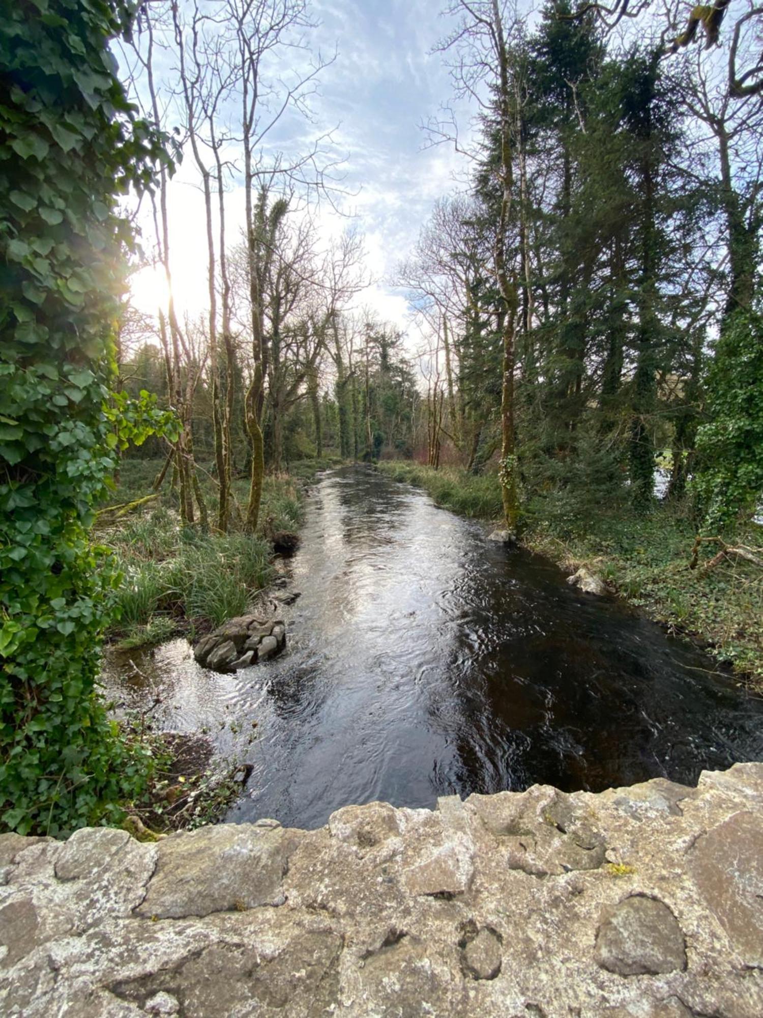 קונג Salmon Weir Lodge מראה חיצוני תמונה